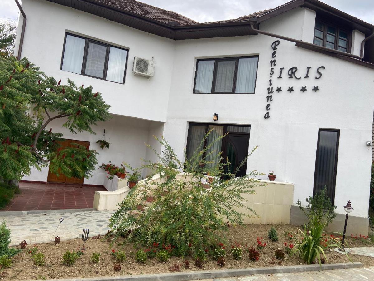 Pensiunea Iris Turcineşti Exteriör bild